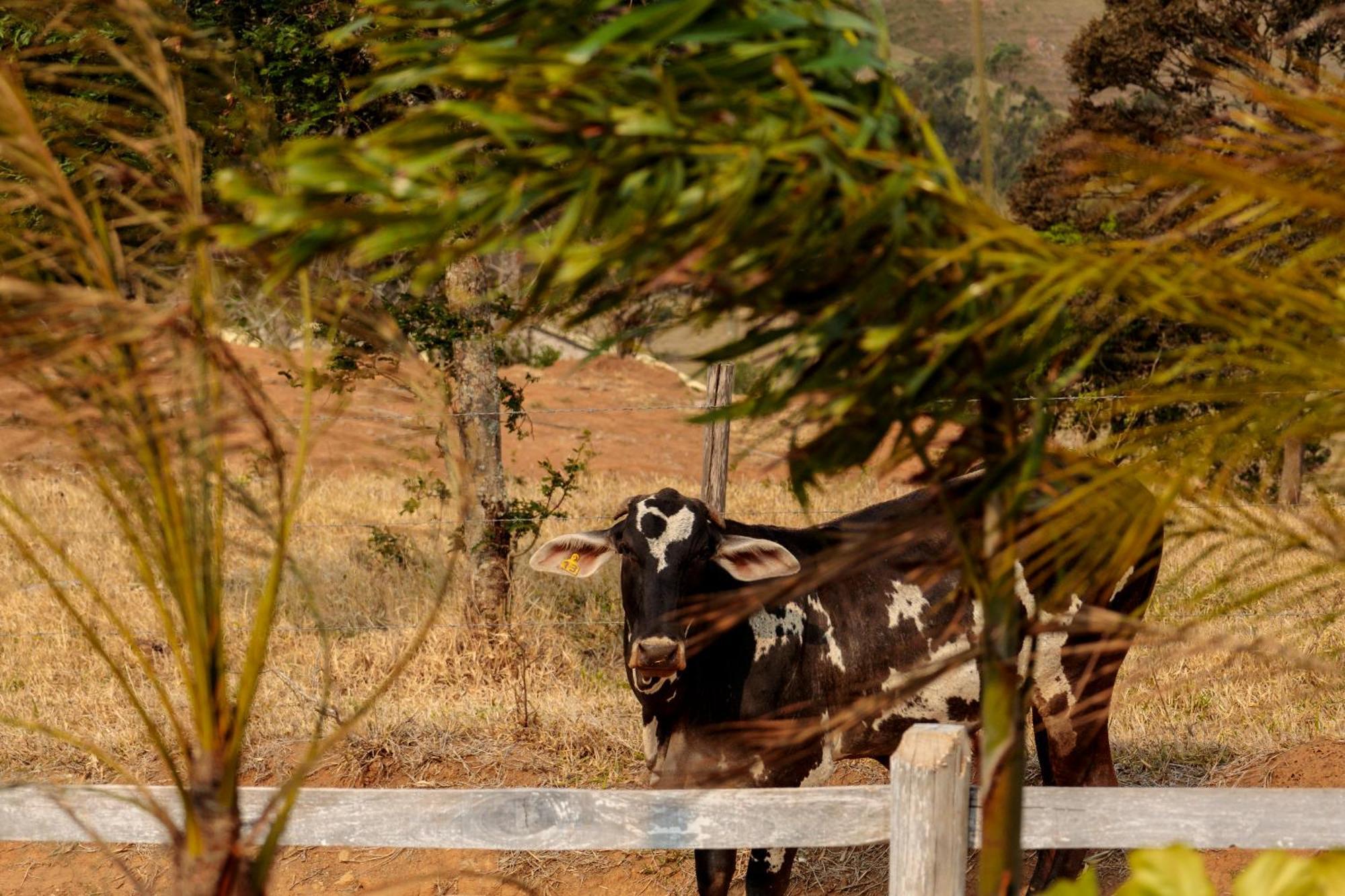 Orvalho Da Mantiqueira Chalet Goncalves